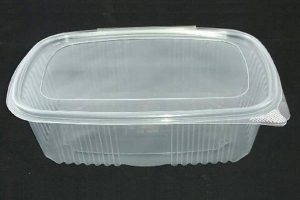 container of hot meal delivery with hinged lid