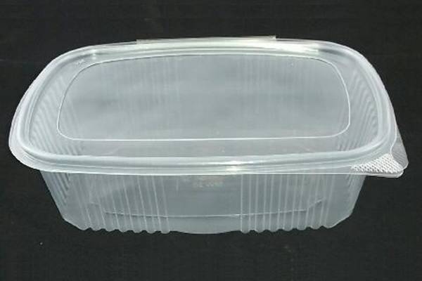 Manufacturer of container for hot meals with hinged lid