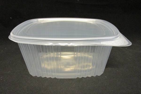 manufacturer of container with hinged lid for hot food delivery