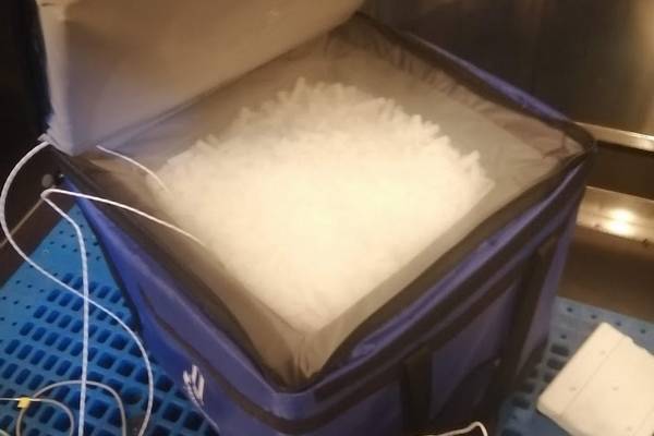 sacoche transport produit avec glace carbonique